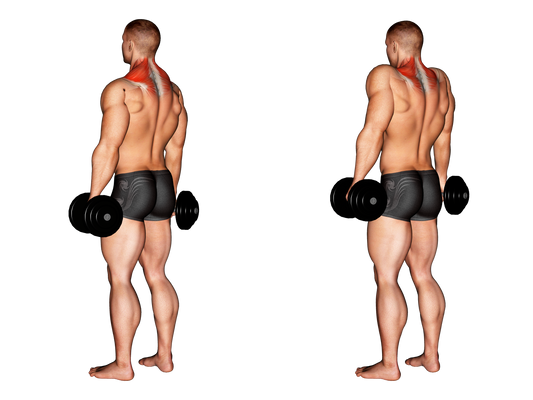 Dumbbell Shrugs Exercise Guide - Form To Do And Benefits