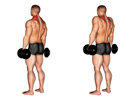 Dumbbell Shrugs Exercise Guide - Form To Do And Benefits